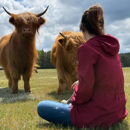 Tiny House In The Forest Szlachta