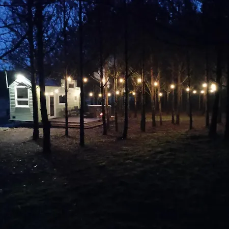 Tiny House In The Forest Feriehus *