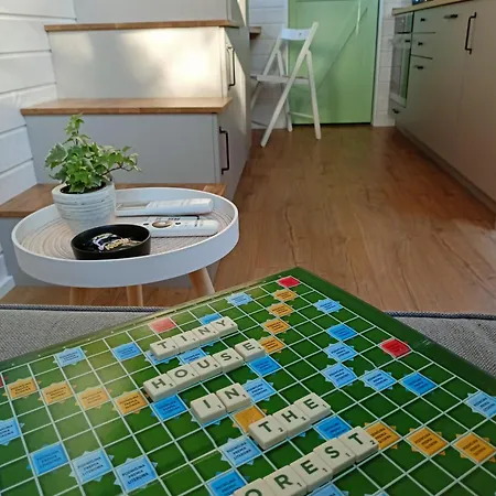 Tiny House In The Forest