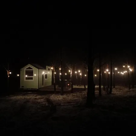 Tiny House In The Forest