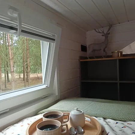 Semesterbostad Tiny House In The Forest *