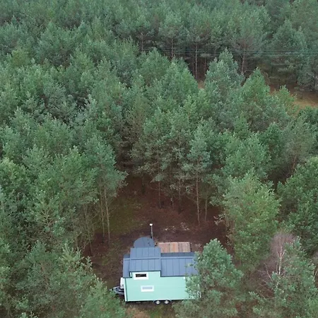 Semesterbostad Tiny House In The Forest
