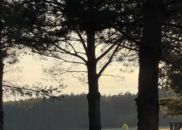 Tiny House In The Forest *