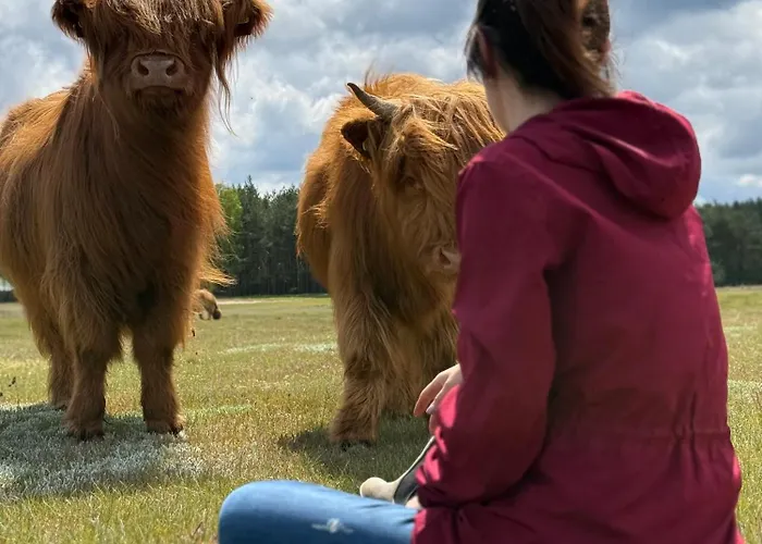 Tiny House In The Forest Szlachta