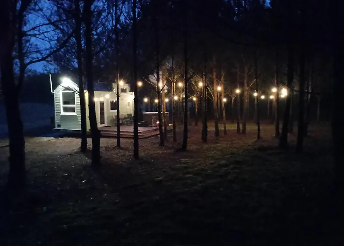 Tiny House In The Forest Holiday home *