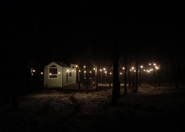 Tiny House In The Forest